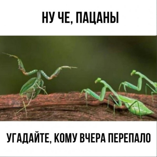 Немного картинок для настроения - 125