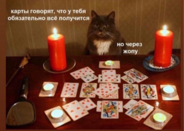 Кисковторник для взрослых