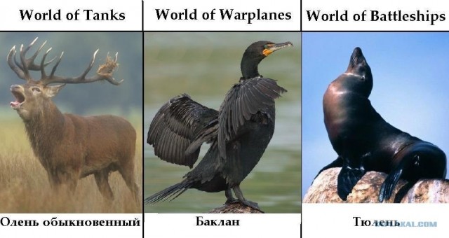 Wargaming 3
