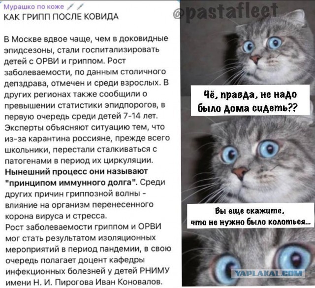 Победная поступь идиотизма по планете – том 2