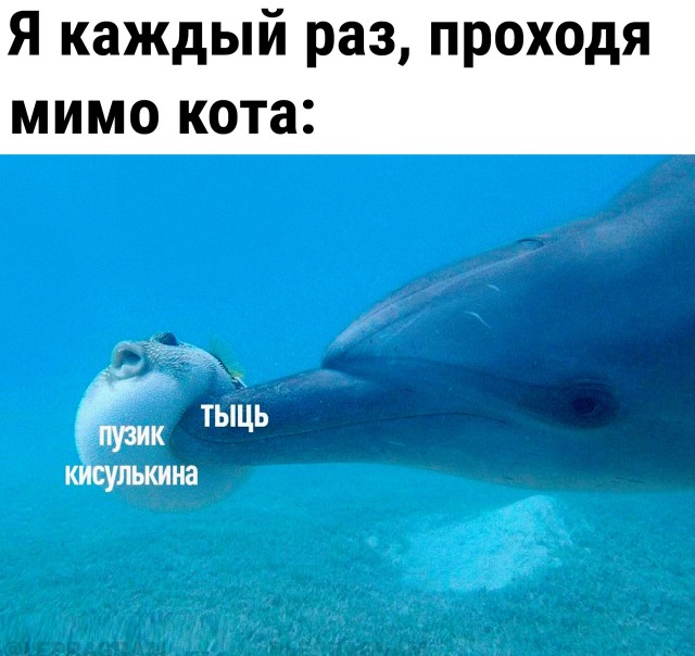 Так себе картинки 28.01.23