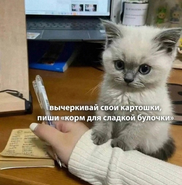 Так себе картинки 18.02.23