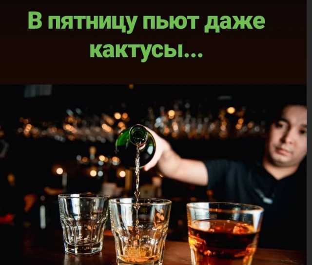 Победная поступь идиотизма по планете – том 10