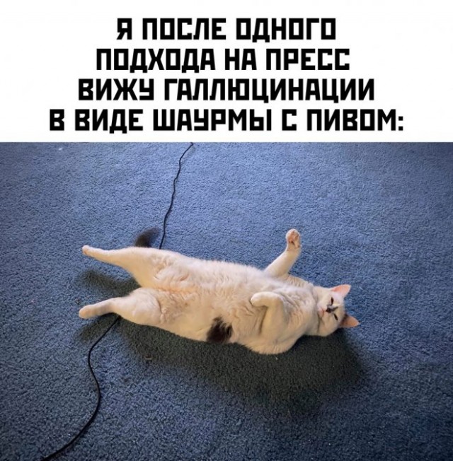 Немного картинок для настроения - 177