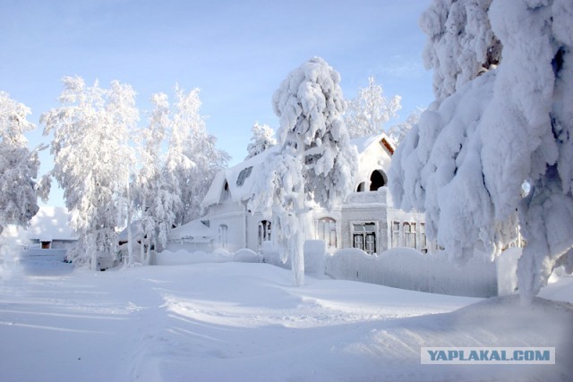 Грибы из Гомеля