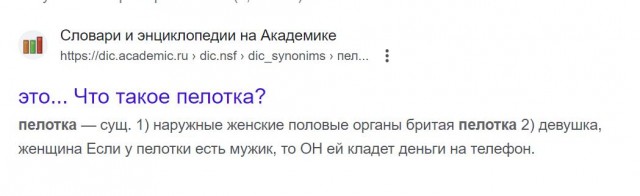 Я БезпЕлотник