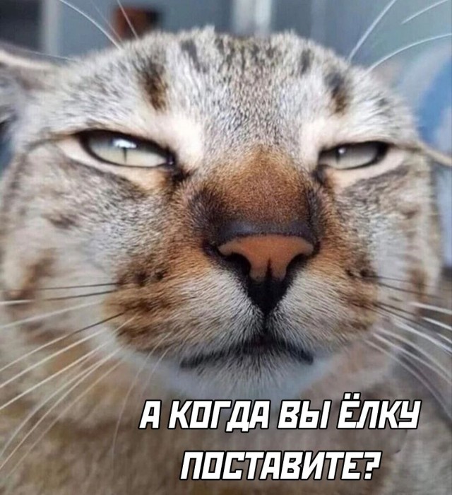 Так себе картинки 28.10.23