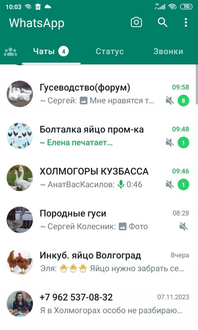 Дополнение к посту про гусей. Не зашло мне то, что написала в телефоне, решила развернуть тему