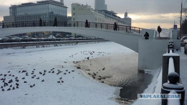 Моя любимая Москва