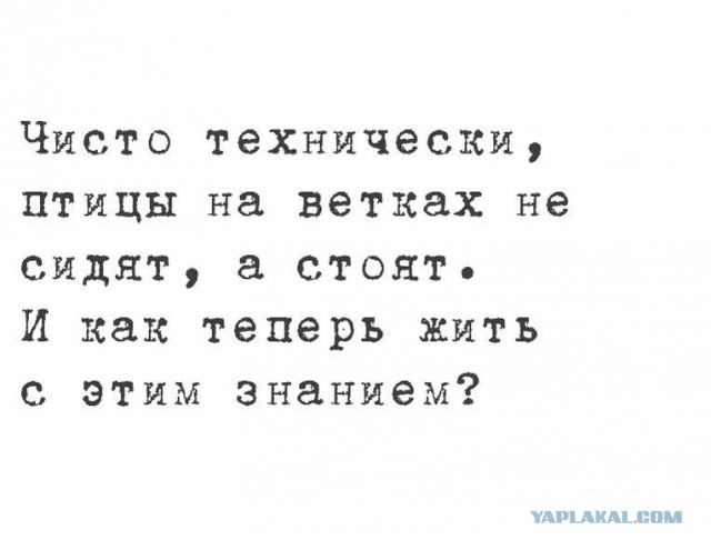 Так сидит или стоит?