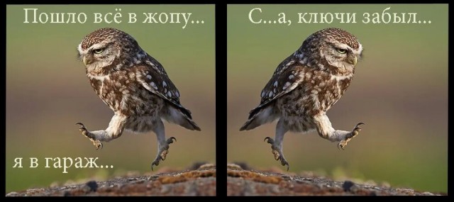 За*бали ворчать!