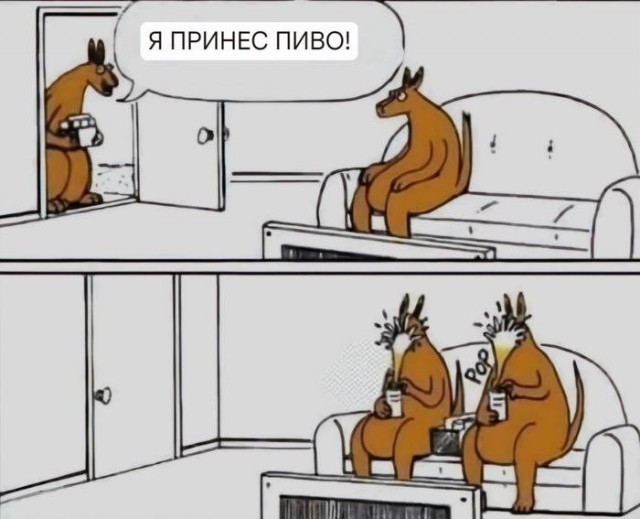Нуштош 30.05.2024