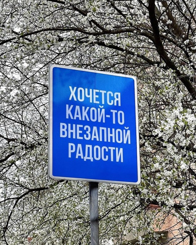 Прикольные и просто красивые картинки 07.06.2024