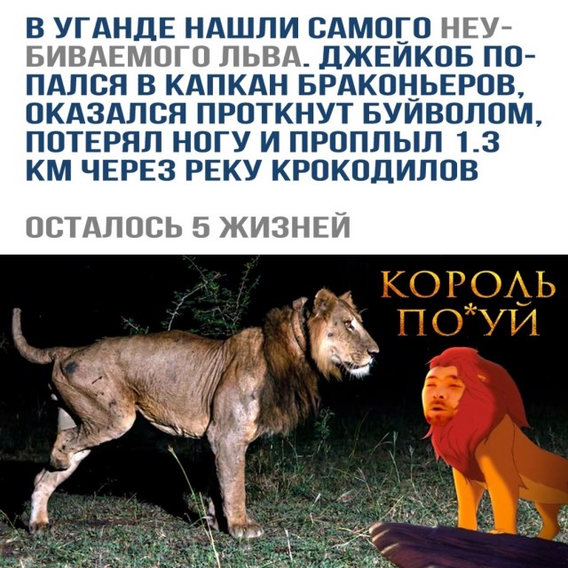 Так себе картинки 28.07.24