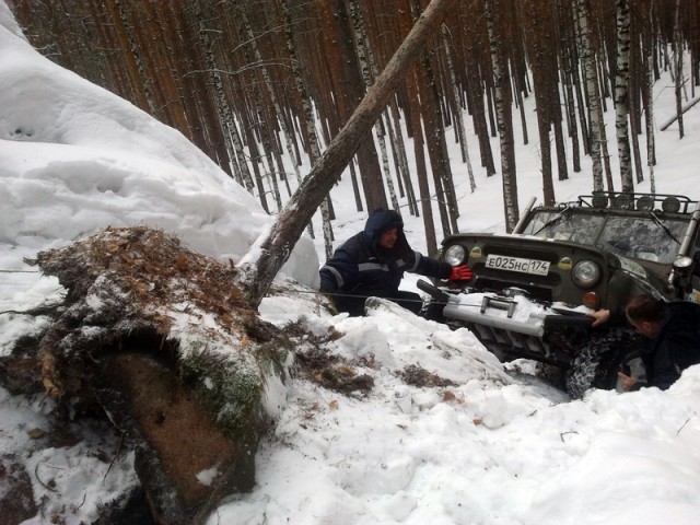 Котяра или На одну мечту меньше