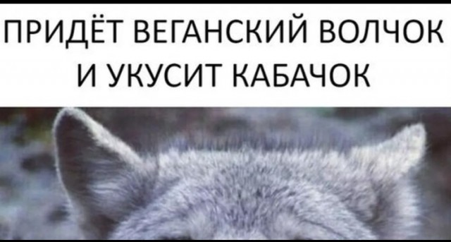 И опять про них