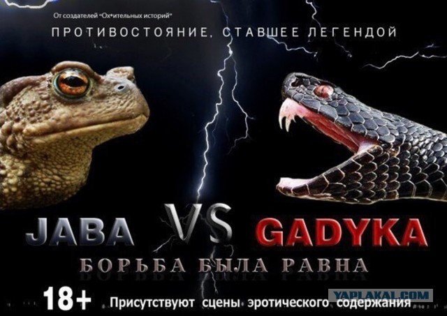 Рафик ни у чём не виуноват!