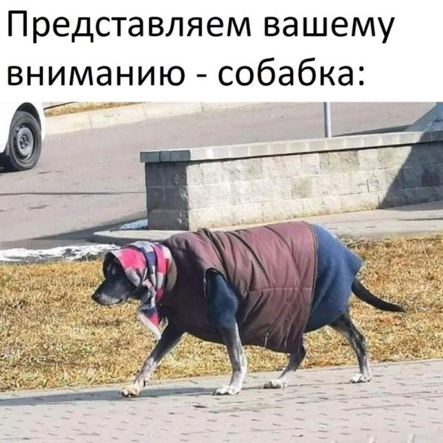 Быстрая деградация