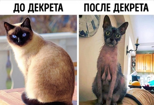 Так себе картинки 07.11.24