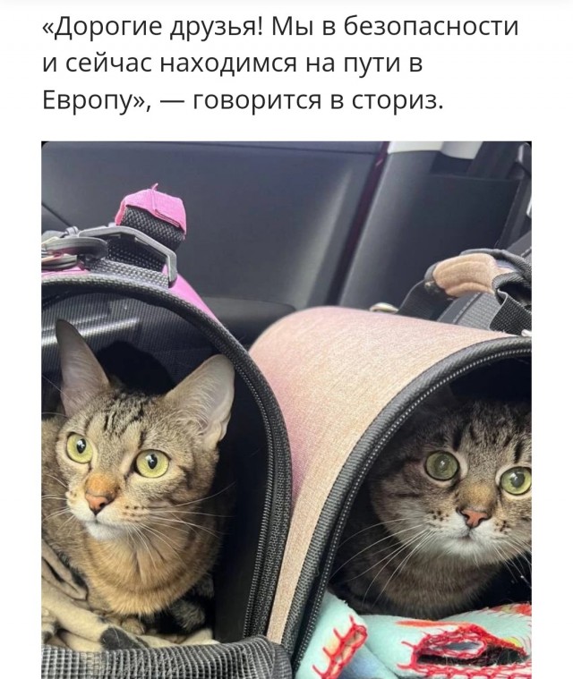 Внимание!