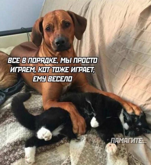 Всего понемногу. От 08.12.24