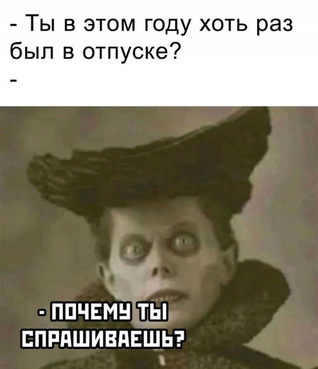 Весёлый полтишок 10.12.24