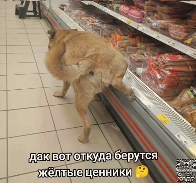 Всего понемногу. От 08.01.2025