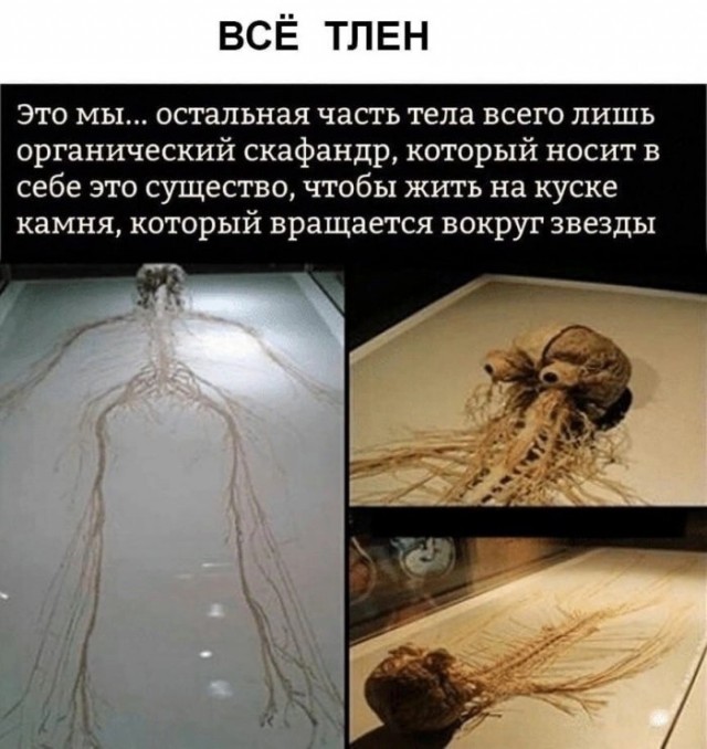 Так себе картинки 09.01.25