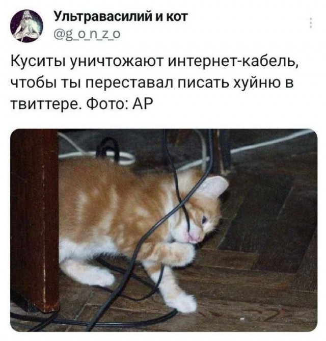 Завалялось тут случайно немного забавных картинок