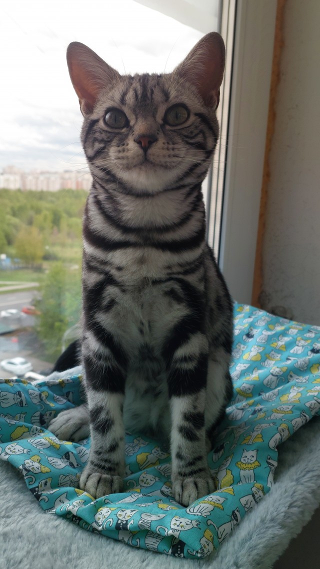 Раб дважды