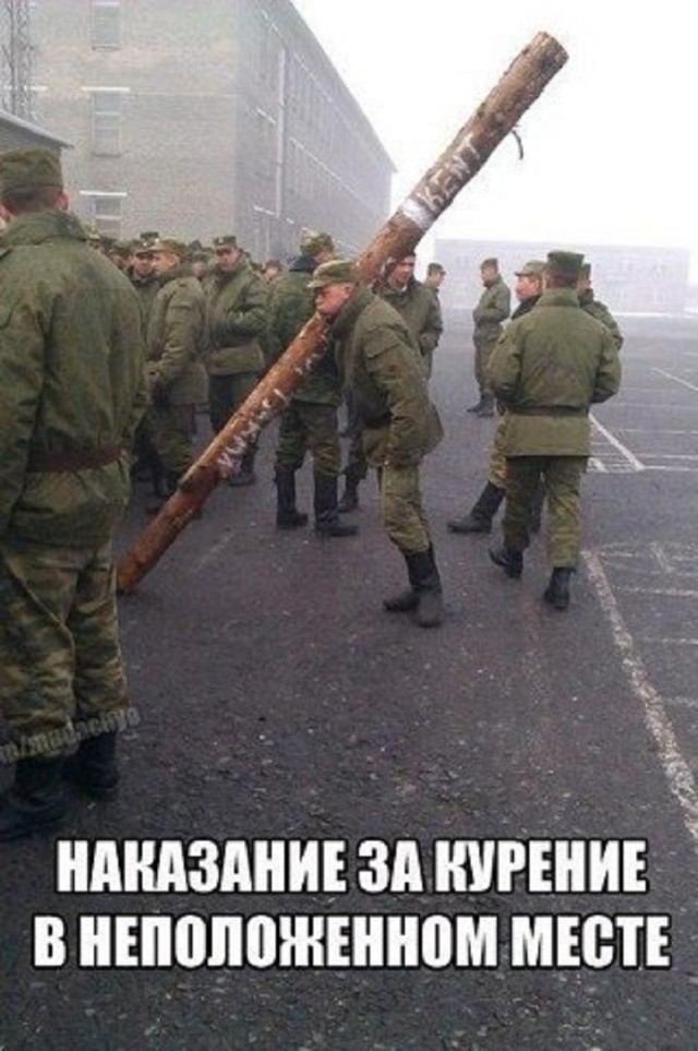 Так себе картинки 19.05.25