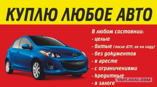 В Краснодарском крае троица молодых "гениев" решила быстро разбогатеть, но все пошло не так