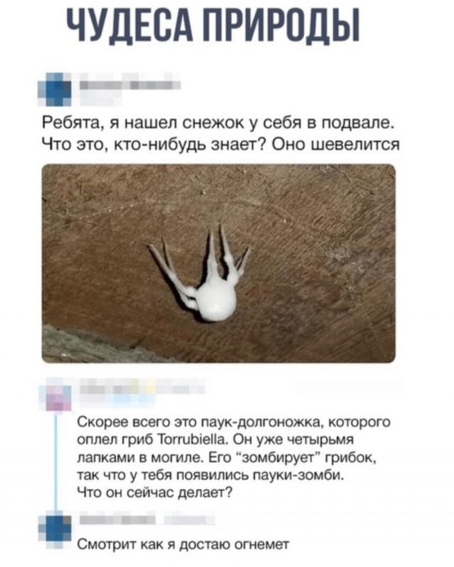 Так себе картинки 02.07.25