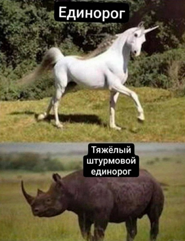 Давно не было....