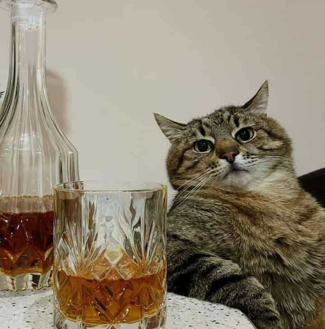 Красавец