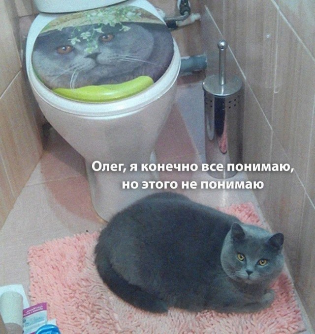 Так себе картинки 26.09.25
