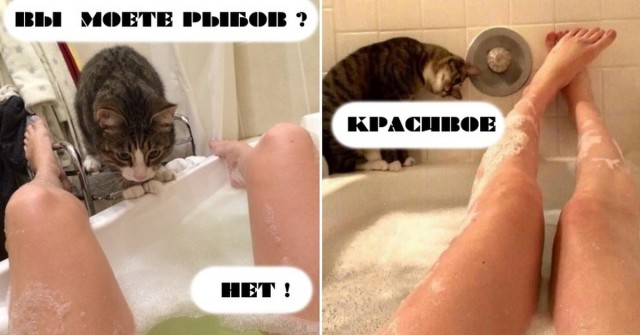 Веселые картинки в первый день октября (01.10)