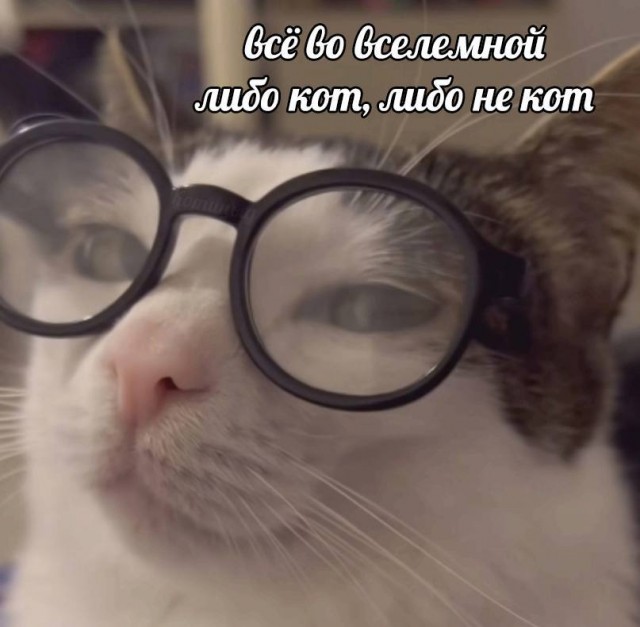Жизненно, иногда черно, вобщем как попало
