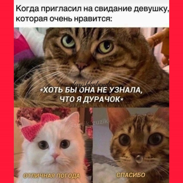 Вторник. Немного картинок