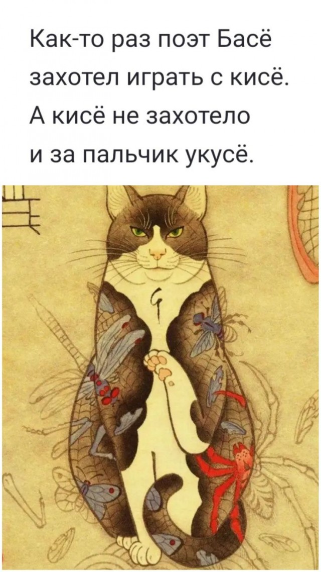 Прикольные и просто красивые картинки 18.11.2025