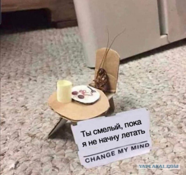 Картинки для деградации 137 (разной степени свежести)