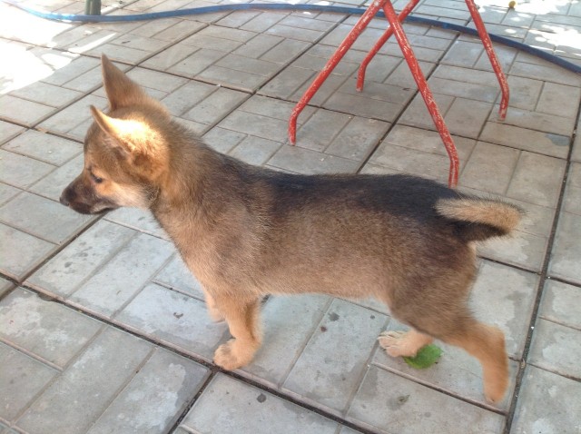 Эх! Не нарадуюсь!