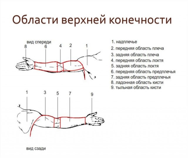 Век живи,век учись