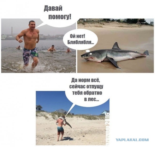 Убили 2-х омаров, коллеги!