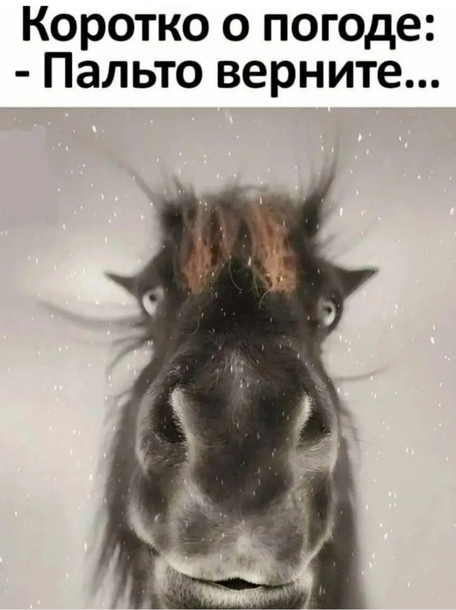 Среды картинки