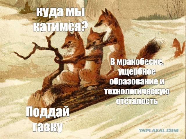 GitHub могут заблокировать — в IT-комитете Госдумы назвали его вредительским и призвали отказываться от платформы