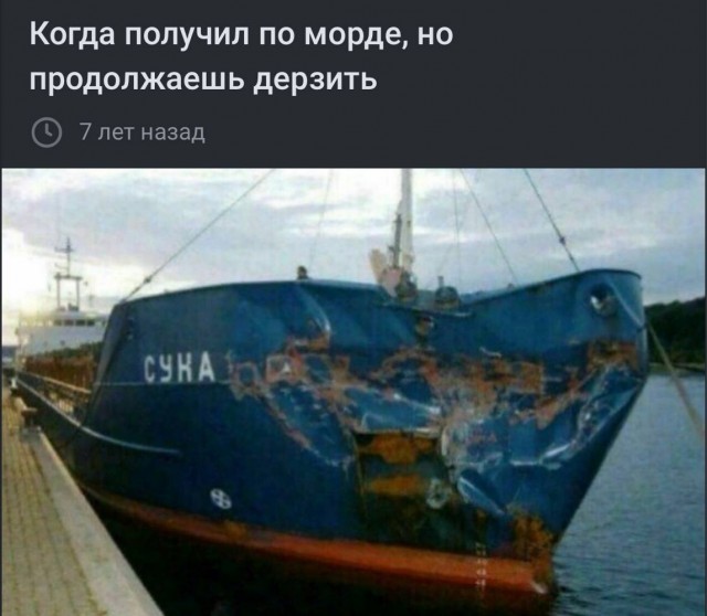 Картинки для деградации 218 (разной степени свежести)