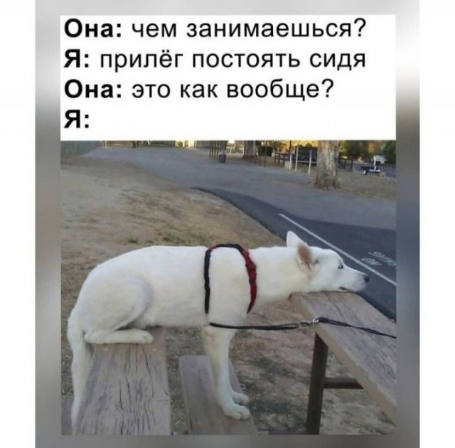 Картиночки, баянчики 26 июня