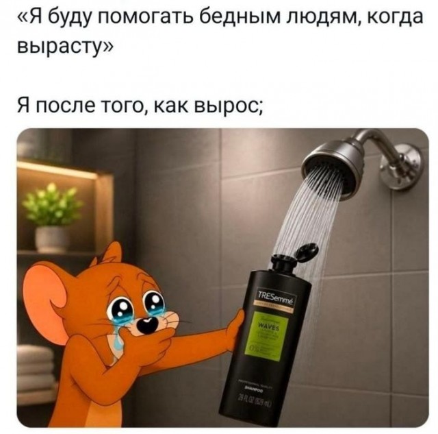 Картинки для деградации 260 (разной степени свежести)