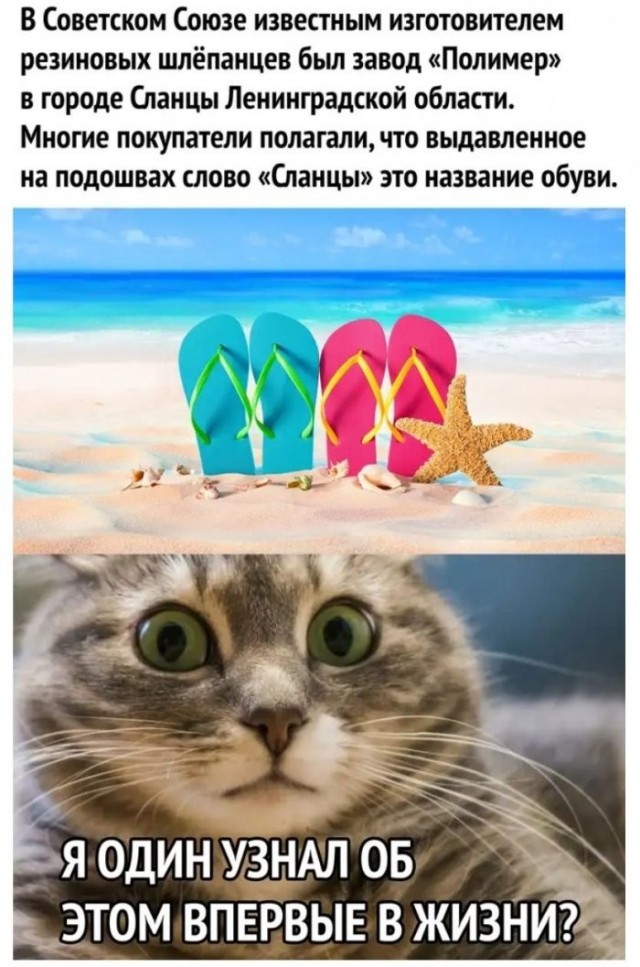 Веселые картинки в пятницу (18.09)